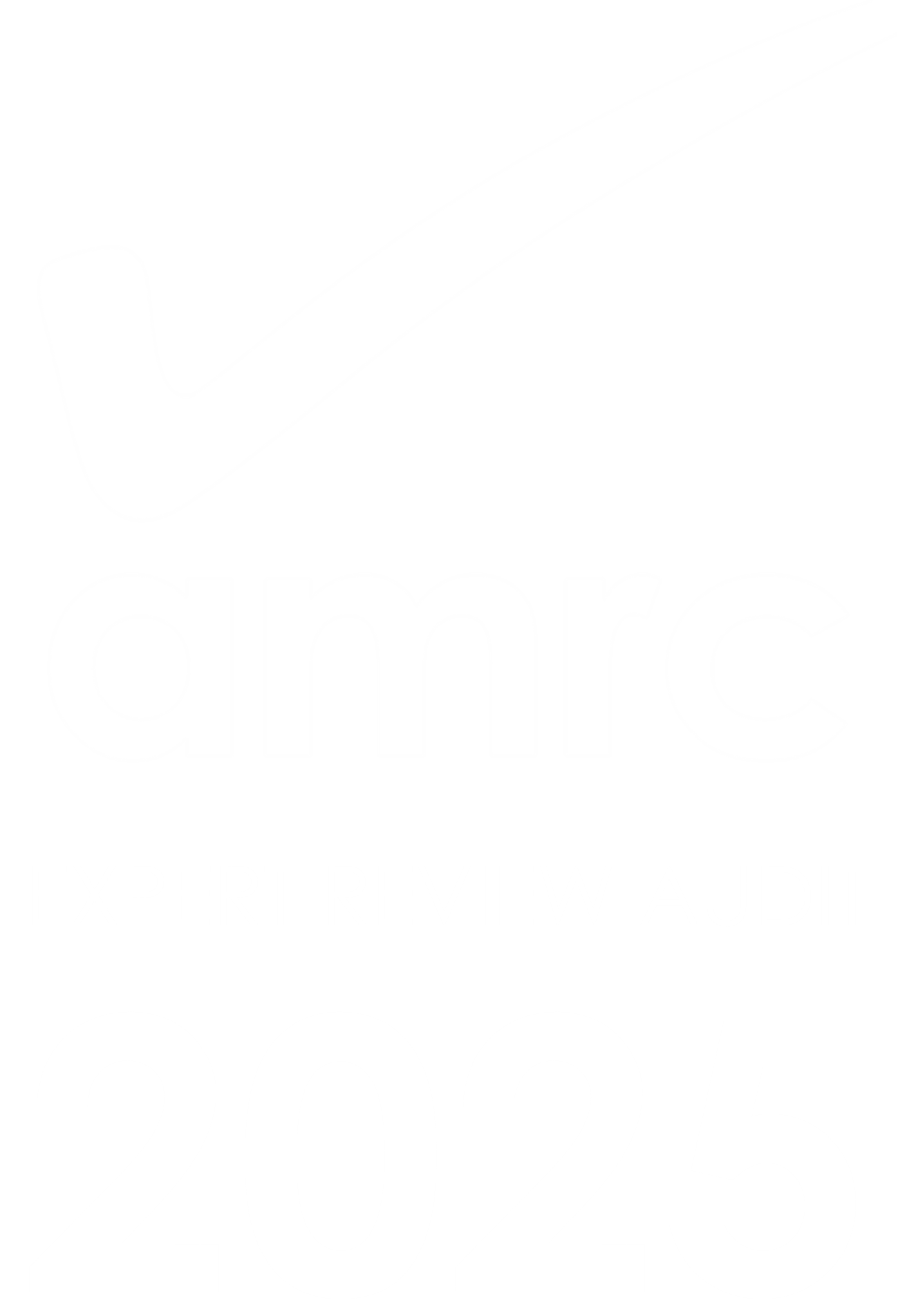 AMRC Expert Review Audit 2025